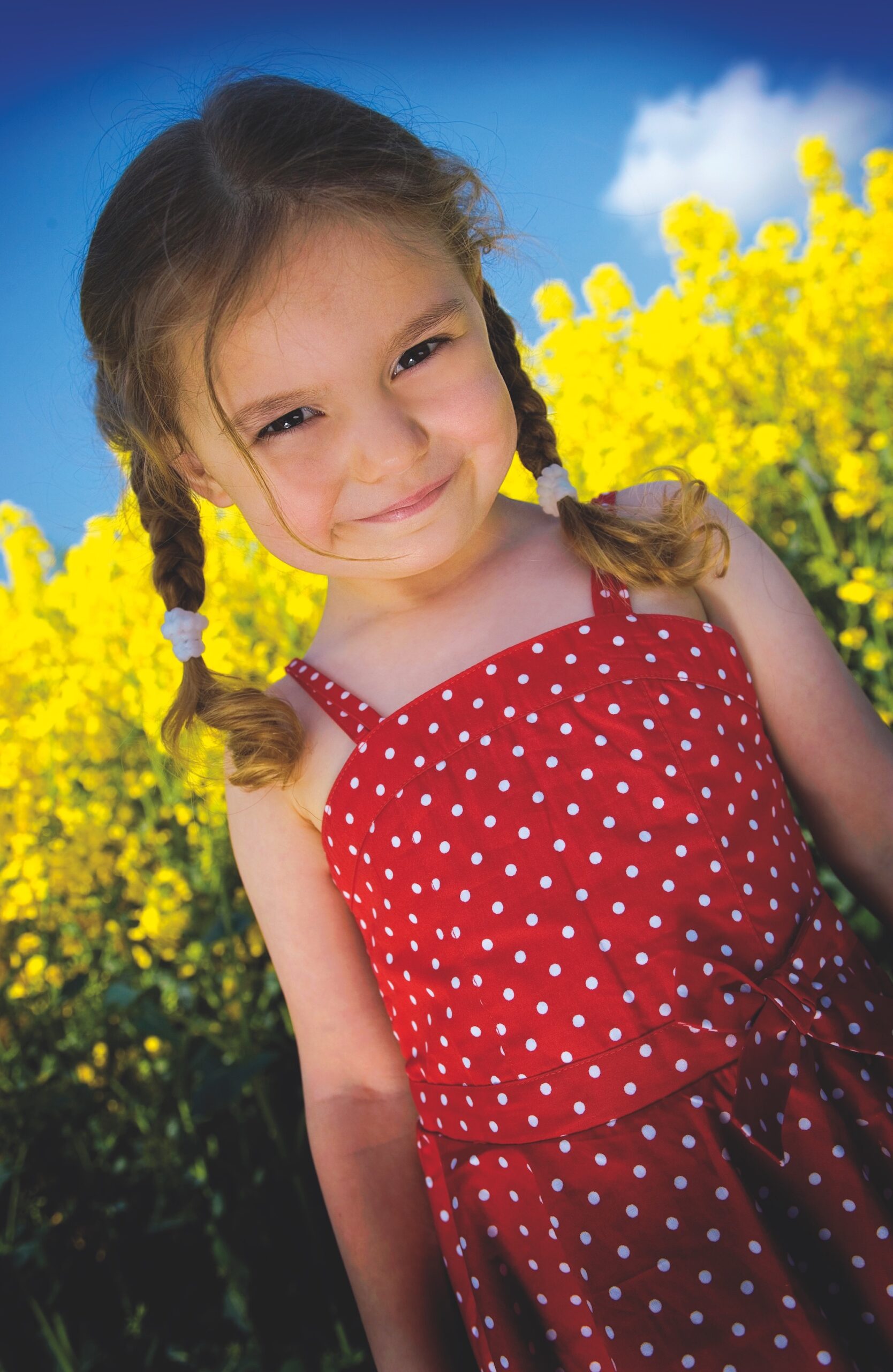 daylight portrait reflector