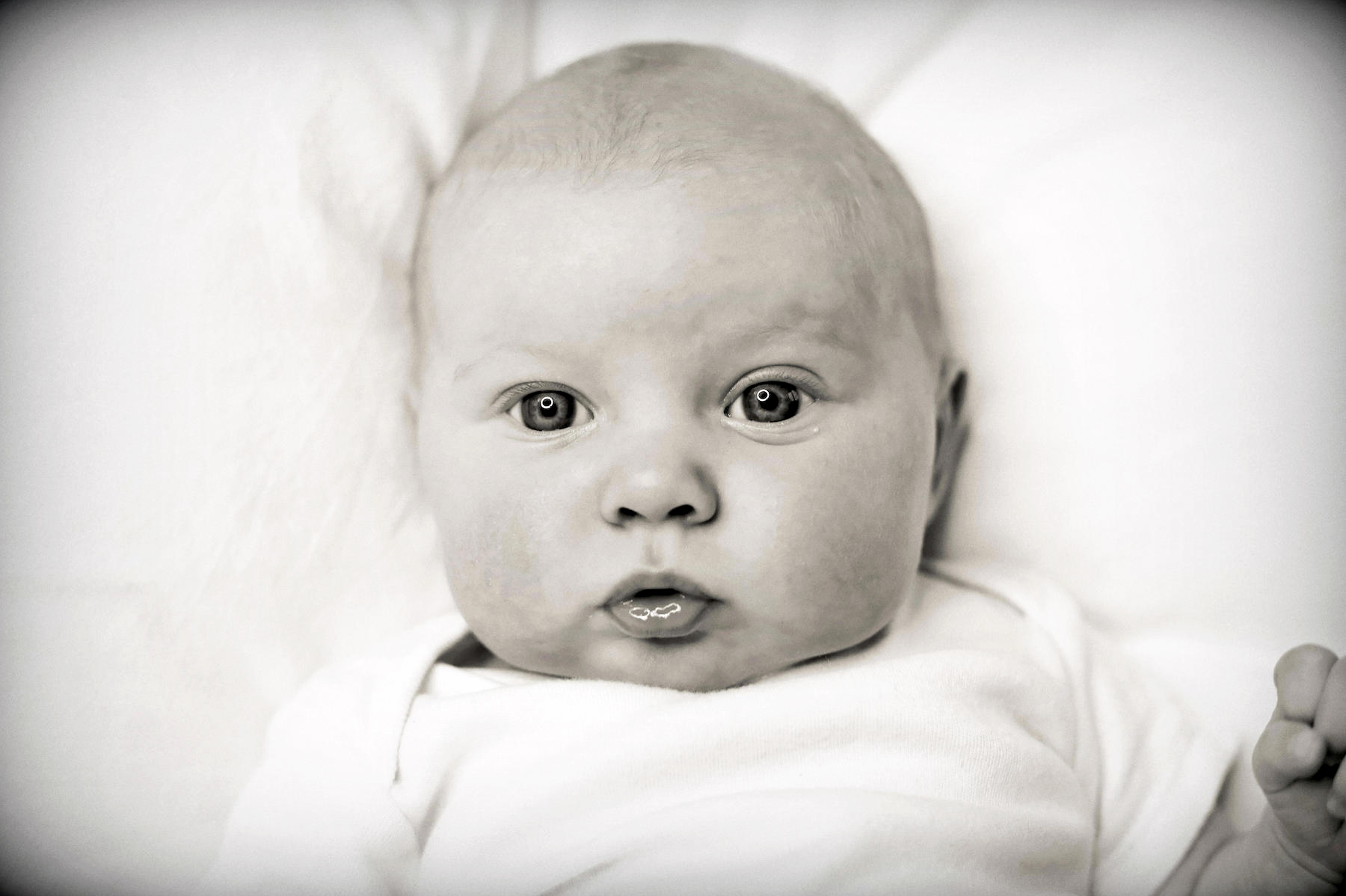 Portrait of newborn baby in monochrome