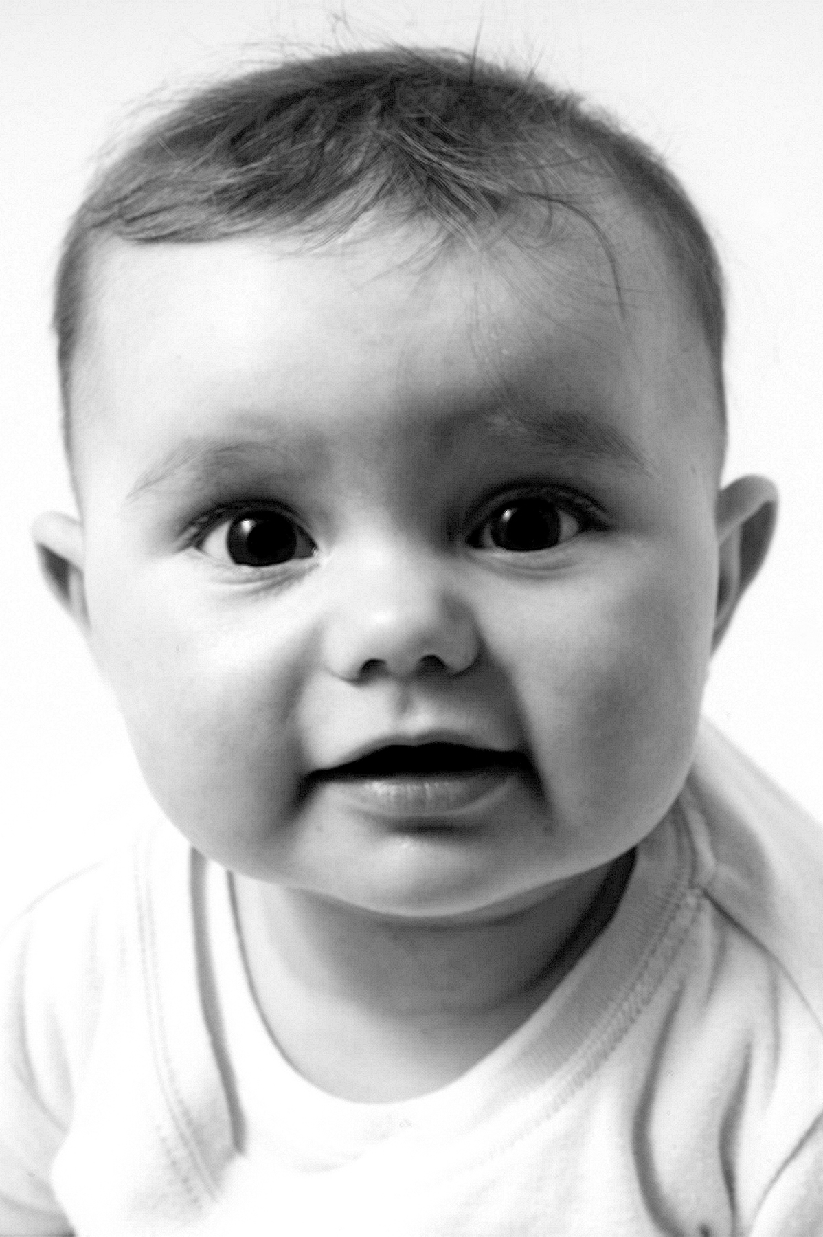 Studio-lit portrait of newborn baby in monochrome